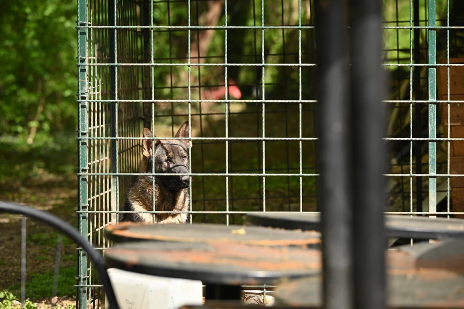 Prve slike sa lica mesta 