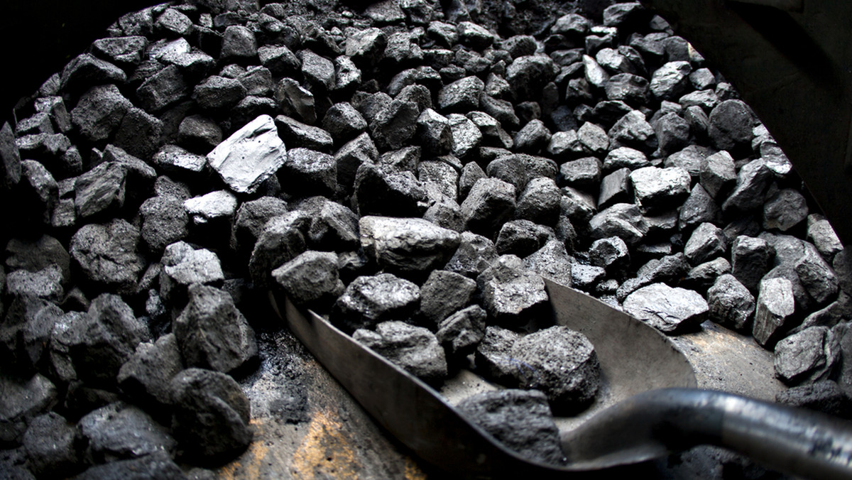 Złodzieje węgla doprowadzili do zablokowania ruchu na towarowym szlaku kolejowym między Bytomiem a Zabrzem. Sprawcy zatrzymali pociąg przewożący węgiel i wysypali na tory ok. sto ton tego surowca.