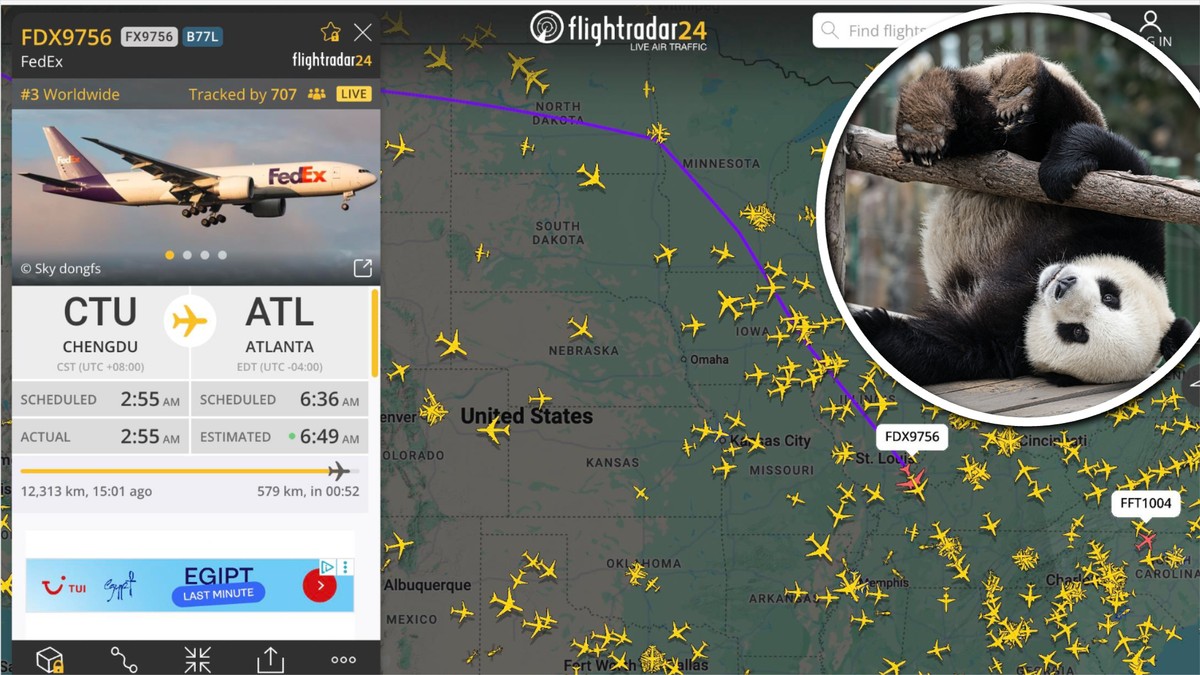 Dwie pandy wielkie lecą z Chin do Zoo Atlanta: tysiące śledzą lot na FlightRadar24
