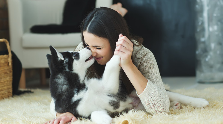 A kutyák is éreznek szeretet a gazdi iránt /Fotó: Shutterstock