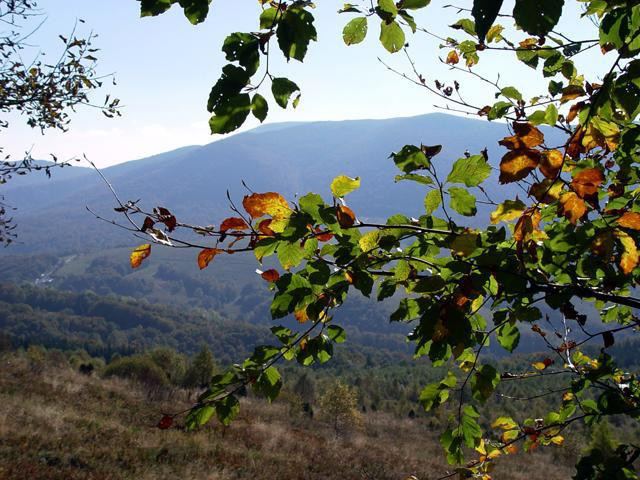 Galeria Polska - Bieszczady, obrazek 25