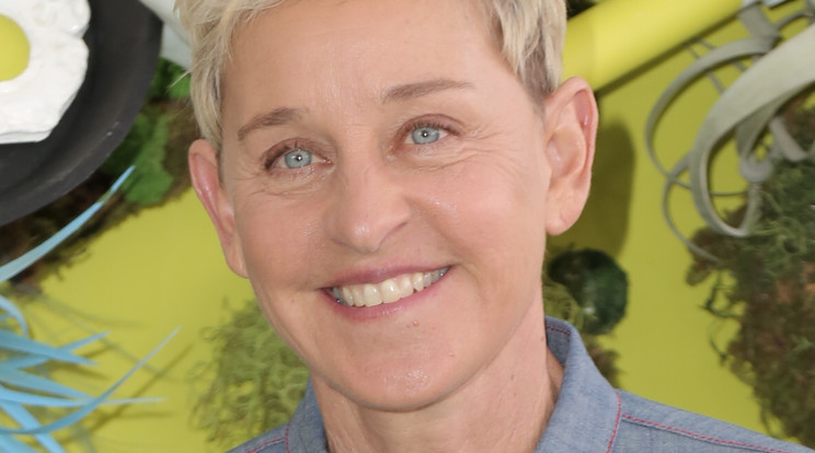 Ellen DeGeneres emlékeztette a rajongóit a koronavírus előtti életre./ Fotó: northfoto