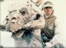 tauntaun-starwars-d000013C15b50014e19a0