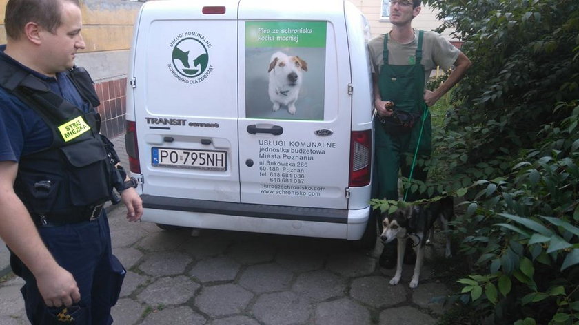 Nie mieli pieniędzy na czynsz. Wyprowadzili się, zostawiając psa. Bez wody i jedzenia