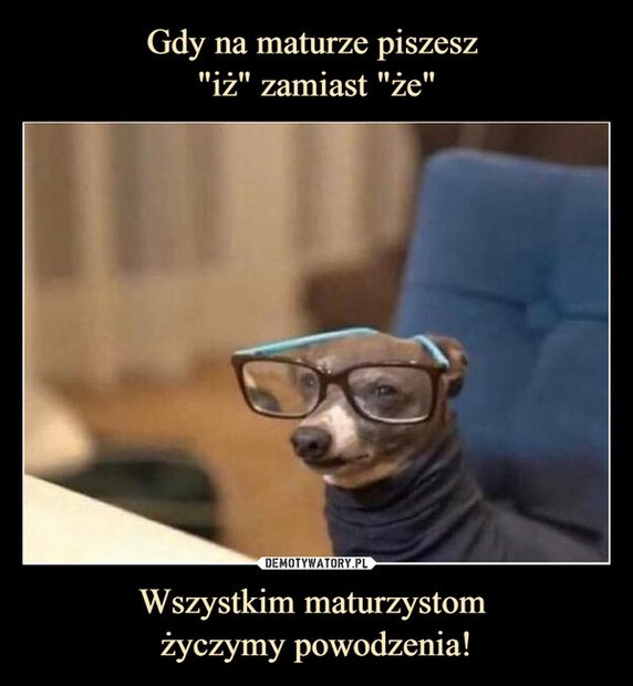 Najlepsze memy o maturze. Internauci w formie