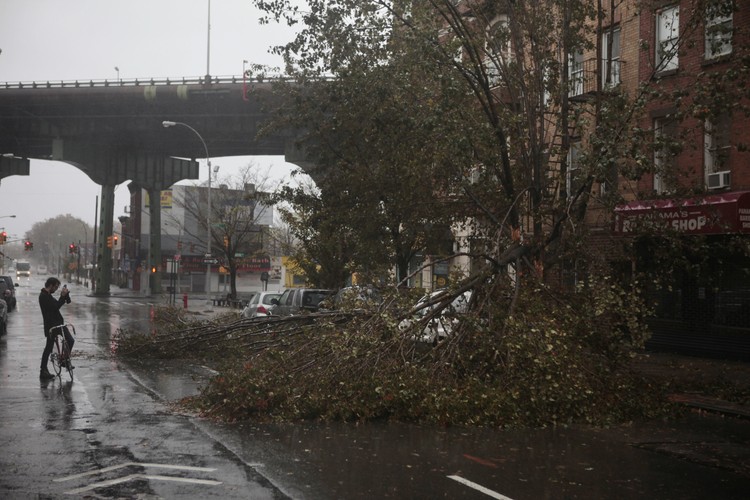 Zwalone drzewa w nowojorskim Brooklynie w wyniku działania huraganu Sandy, 30.10.2012