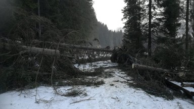 Tatrzański Park Narodowy wstrzymał sprzedaż biletów. Powodem silny wiatr halny