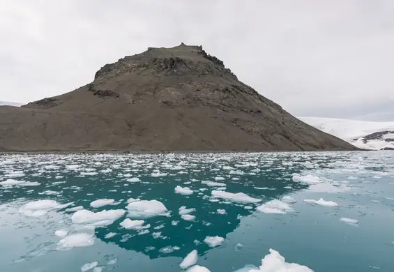 Ekspert Koalicji Klimatycznej: MEN kłamie w sprawie klimatu. Te materiały są skandaliczne