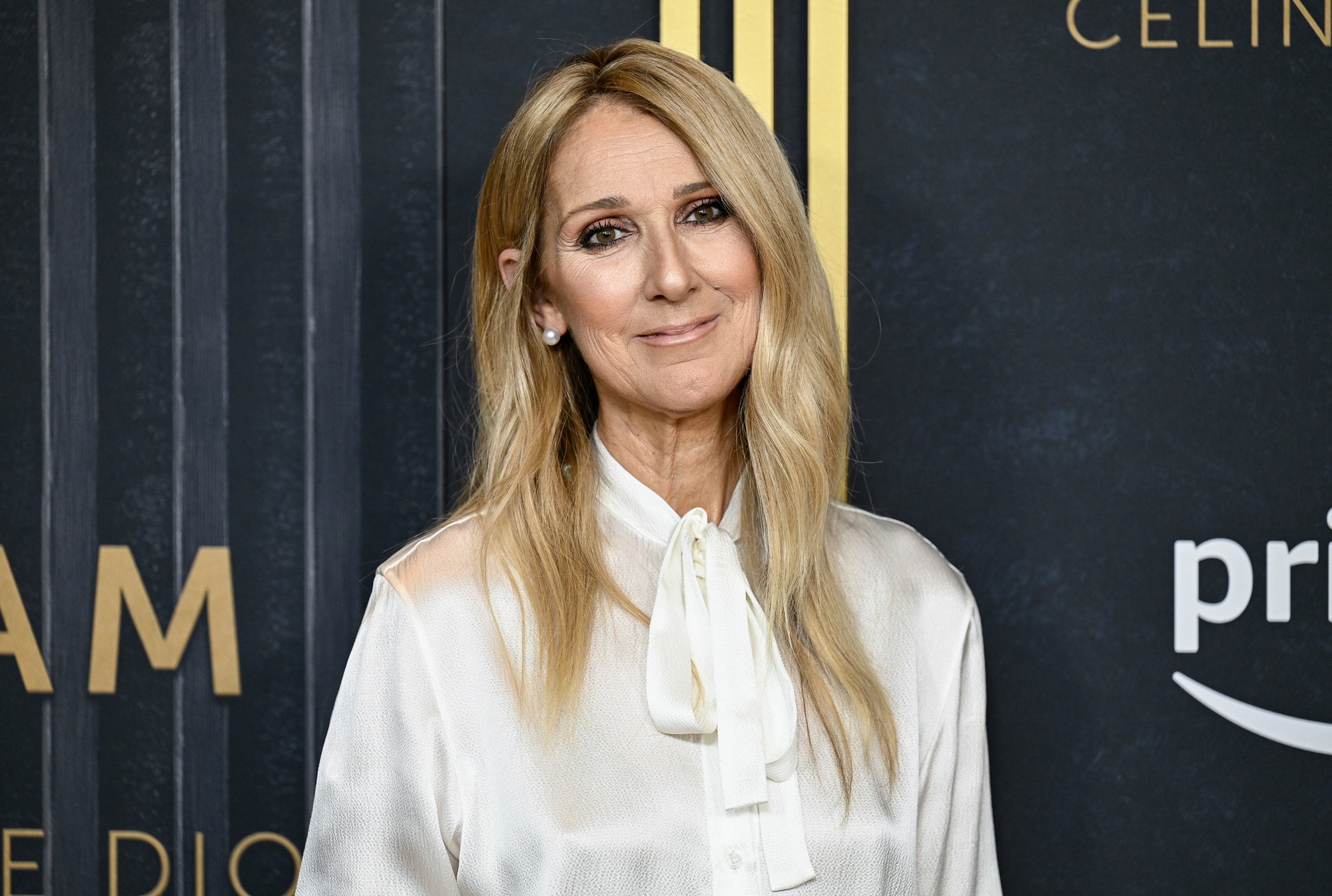 Kanadská speváčka Céline Dion.
