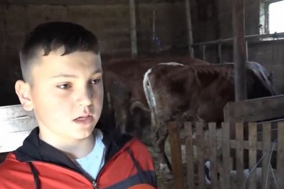 (VIDEO) "Život na selu NIJE TEŽAK kao što mnogi pričaju" Miloš (13) je GLAVA KUĆE nakon smrti oca, a traktor je naučio voziti za 4 godine