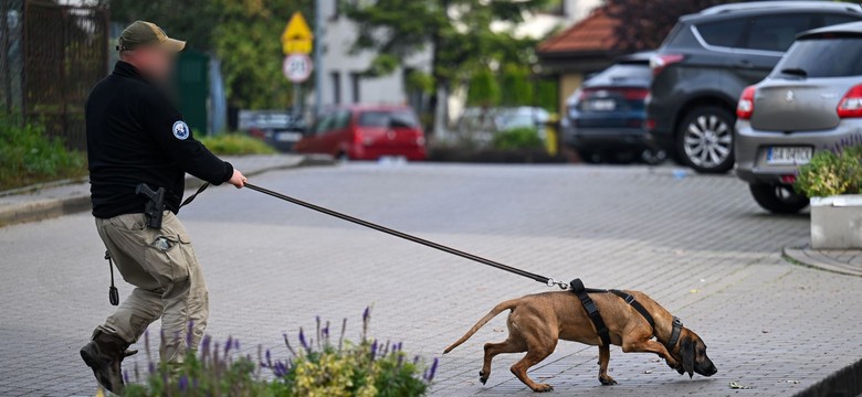 Poszukiwania Grzegorza Borysa. Policja publikuje nowe ZDJĘCIA i NAGRANIE