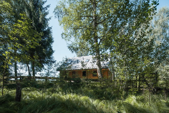 Dom z widokiem na jezioro Lipno. Jest niemal cały z drewna!
