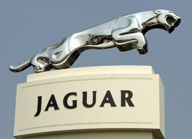 Jaguar logo