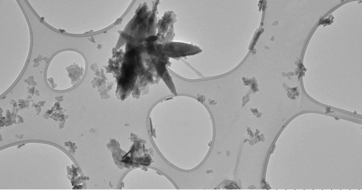 新しい健康の脅威。 Microplastikは、脳卒中のリスクに影響します