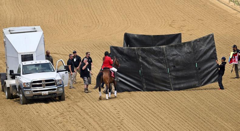 Bob Baffert-trained horse and favorite Havnameltdown, behind the curtain, had to be euthanized Saturday, May 20, 2023, during the sixth race of Preakness Day at Pimlico Race Course in Baltimore.Jerry Jackson/Baltimore Sun/Tribune News Service via Getty Images