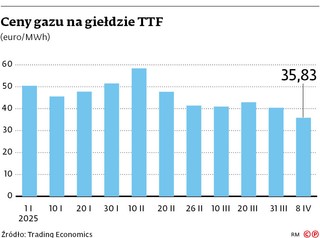 Ceny gazu na giełdzie TTF (euro/MWh)