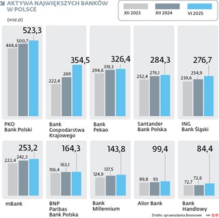 Wszystkie duże banki zwiększały w ostatnim czasie skalę działania. Ale to w BGK wzrost był najszybszy.
