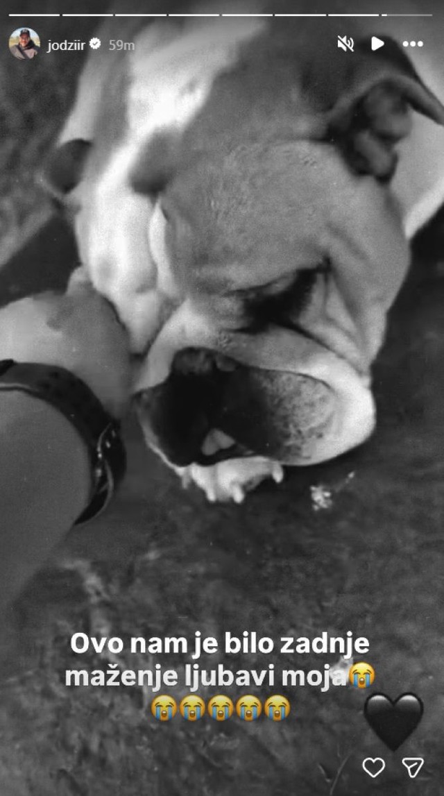 Jodžir (Foto: Instagram)