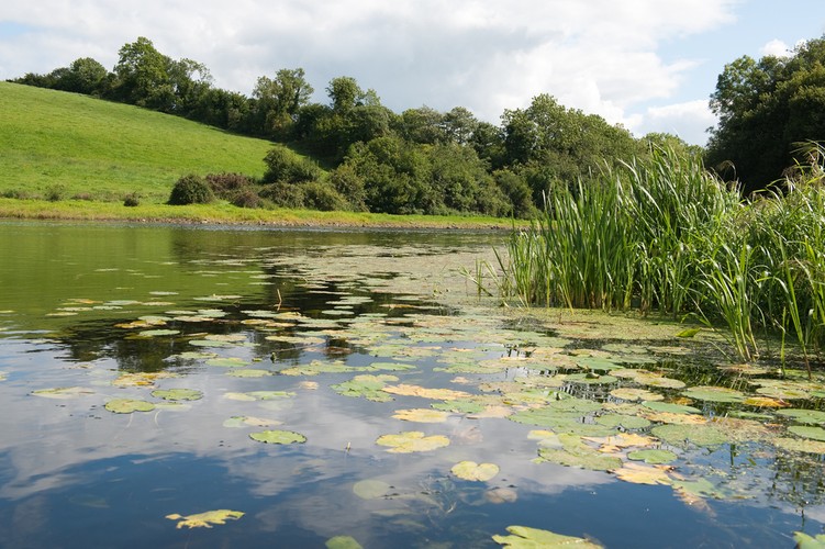 Cavan - miasto w hrabstwie o tej samej nazwie w Irlandii, w prowincji Ulster. Położone w północnej części kraju, blisko granicy z Irlandią Północną.