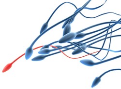 Sperma, czyli nowy eliksir młodości