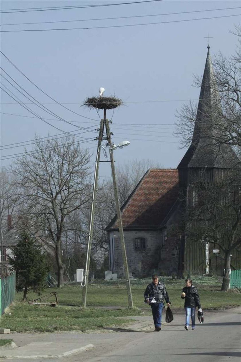 Hurra! Boćki wróciły!