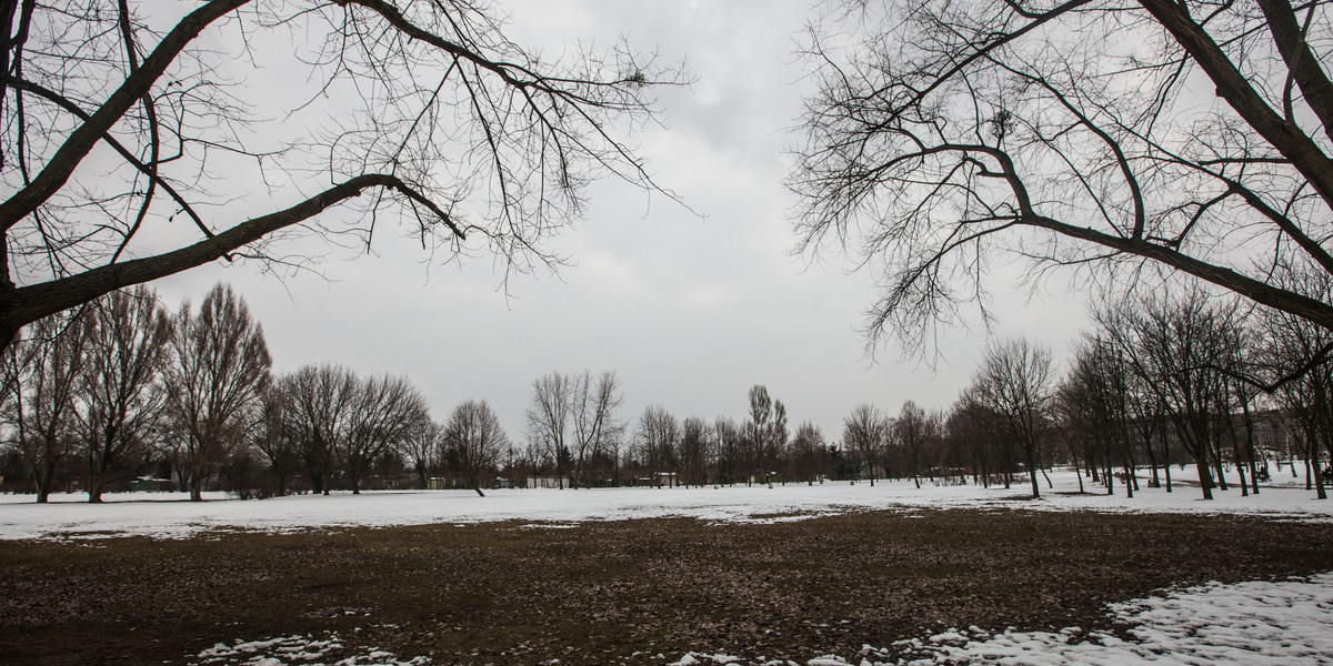 lądowisko w parku