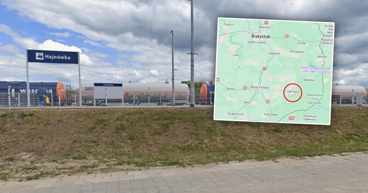 Wypadek na Podlasiu: Pociąg zderzył się ze stadem żubrów