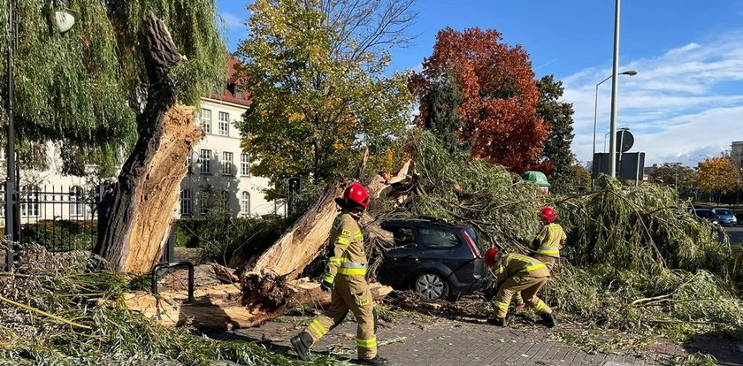 Potężne wichury przeszły nad Polską. Jest tragiczny bilans: 4 osoby nie żyją, 18 rannych, w tym wielu strażaków