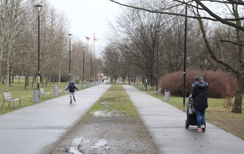 Rozwiązaliśmy zagadkę parku Bródnowskiego. Oznakowane drzewa zostają