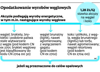 Minister finansów chce akcyzy na brykiet węglowy do grilla. Będą podwyżki cen?