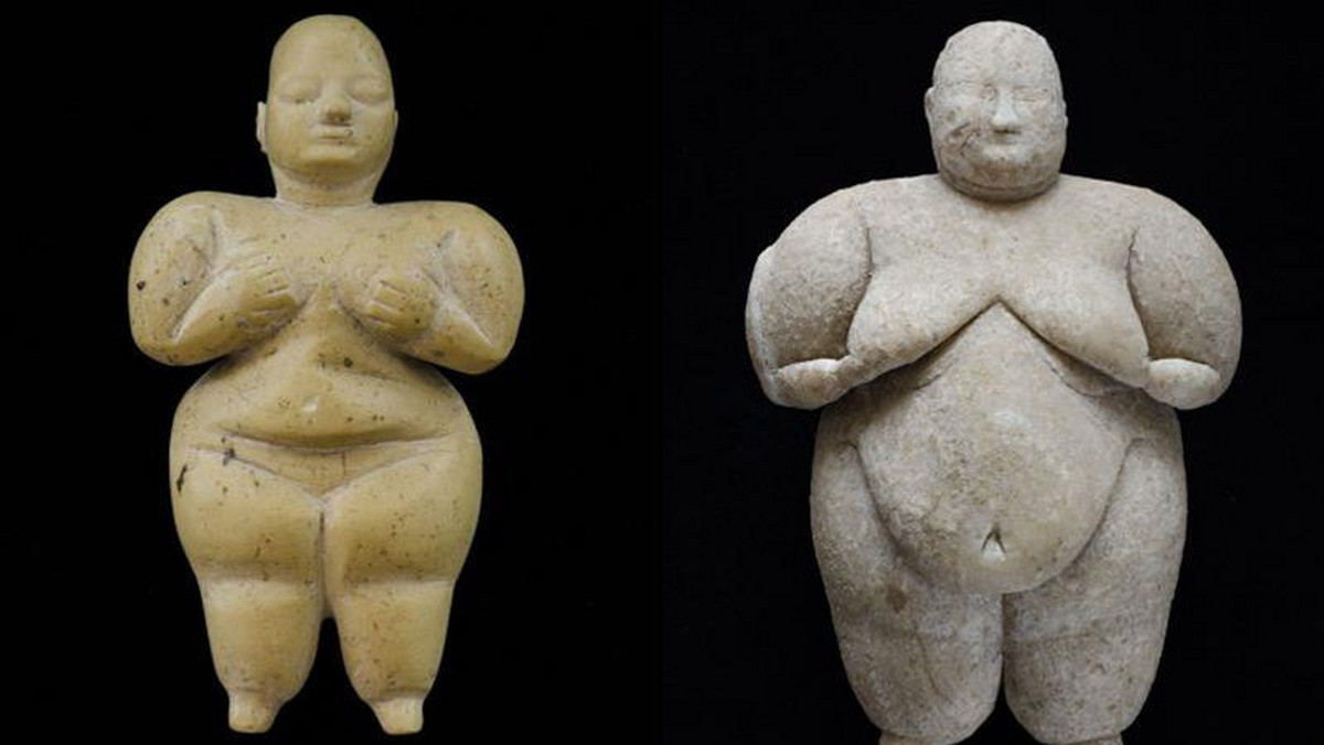 Dwie bardzo dobrze zachowane kamienne figurki sprzed 8 tys. lat, przedstawiające nagie kobiety, odkryli polscy archeolodzy w czasie tegorocznych wykopalisk w jednym z najstarszych miast świata - Çatalhöyük w Turcji.