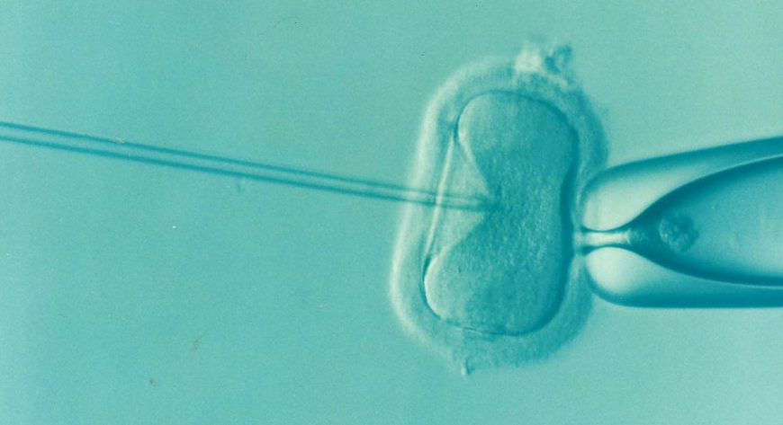 Wszystkie pary, które w Krakowie złożyły wnioski o dofinansowanie procedury in vitro, otrzymają wsparcie.