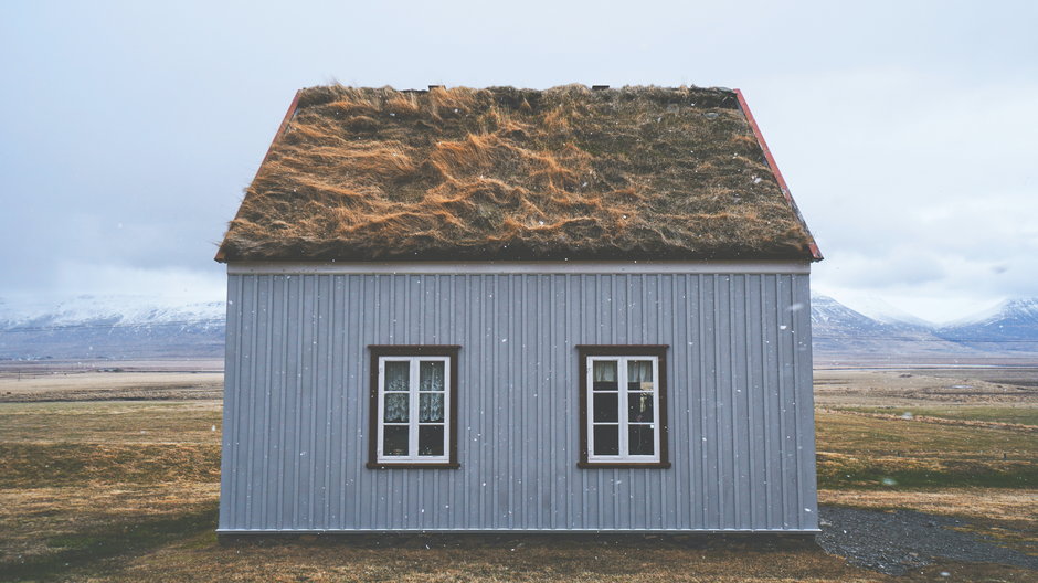 Zielone dachy są charakterystycznym symbolem krajów nordyckich