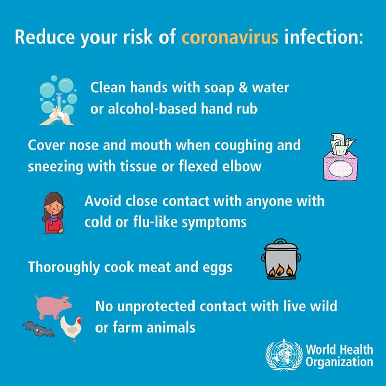 WHO - coronavirus