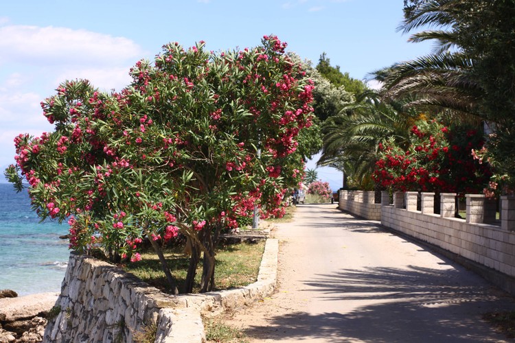 Urokliwe zakątki Wybrzeża Makarskiego na Chorwacji.