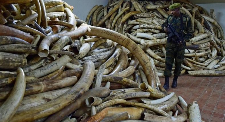 At its peak in 2014 wholesale prices for raw ivory stood at $2,100 (1,900 euros) per kg in Chinese markets, according to a report by two ivory trade experts