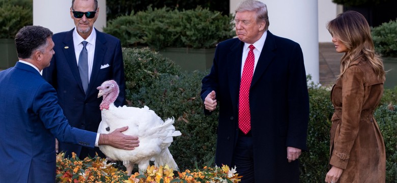 Tradycji stało się zadość. Donald Trump ułaskawił dwa indyki