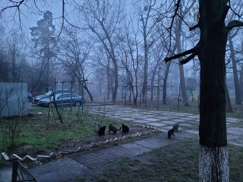 Kijów wieczorem, 1.04.2022 r.