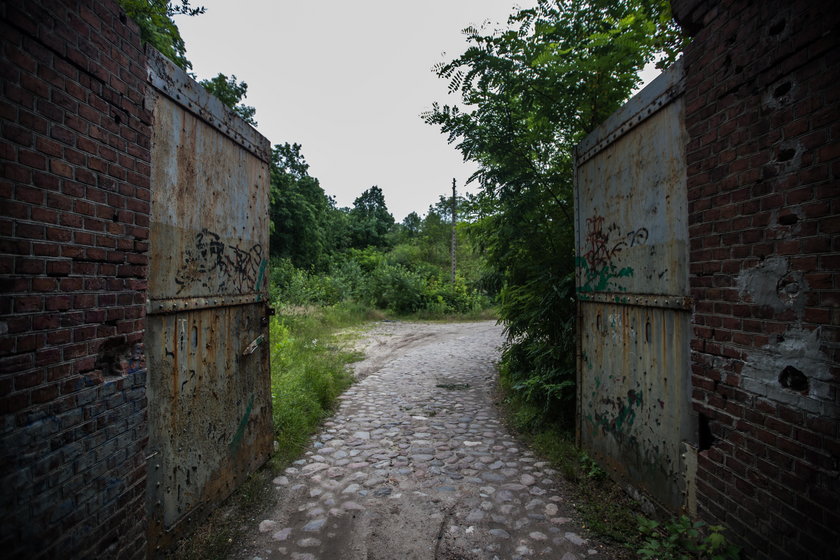 Przy Forcie IX będzie park i wybieg dla psów