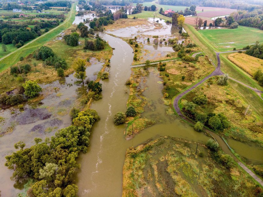 Wisła zalała Bieruń w woj. śląskim