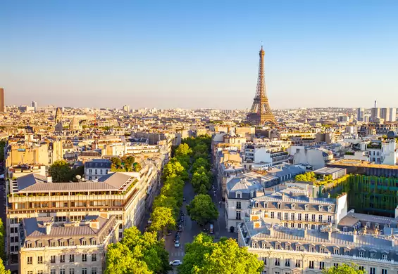 Zamiast betonować, Paryż zamienia połowę ze 140 tysięcy miejsc parkingowych na drzewa