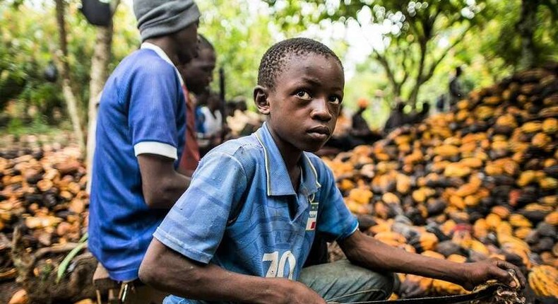 Child labour problem in Nigeria worst in Southeast, Northwest 