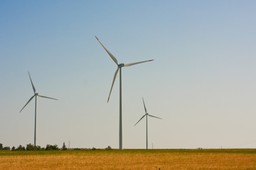 Elektrownie wiatrowe. Problemem podłączenie do sieci