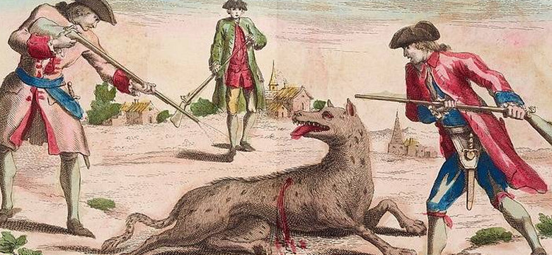Tajemnicza bestia z Gévaudan. Co zabijało na południu Francji w XVIII w.?