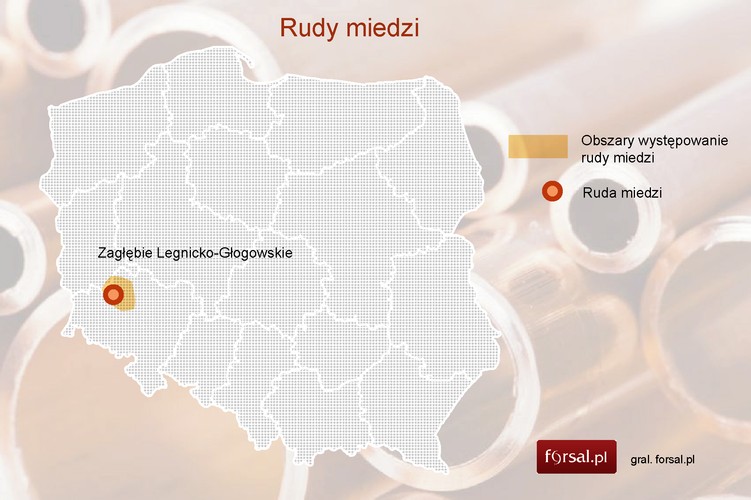 Rudy miedzi. Między innymi na polskich zasobach rud miedzi wyrosła pierwsza spółka globalna znad Wisły – KGHM. W 2012 roku zasoby bilansowe rud miedzi w Polsce wyniosły 1 792,5 mln ton o zawartości 34,36 mln ton miedzi i 104,9 tys. ton srebra. Wydobycie rud miedzi w tym samym roku osiągnęło poziom 30,18 mln ton. Rudy te zawierały 1,59 proc. miedzi. Szacuje się, że polskie złoża wystarczą nam na około 50 lat racjonalnej eksploatacji. Polskie złoża zlokalizowane są na terenie Dolnego Śląska monoklinie przedsudeckiej i niecce północnosudeckiej (okolice Głogowa, Polkowic, Lubina, Bolesławca, Złotoryi). Zagłębie Lubińsko-Głogowskie należy do największych tego typu w Europie.