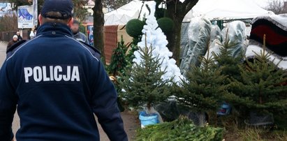 Policja i straż leśna pilnuje choinek