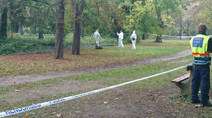 A háromgyerekes édesanyát a Népliget csalitos szegletében gyilkolták meg /Fotó: Blikk