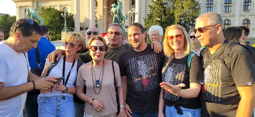 Glumica Svetlana Ceca Bojković na protestu