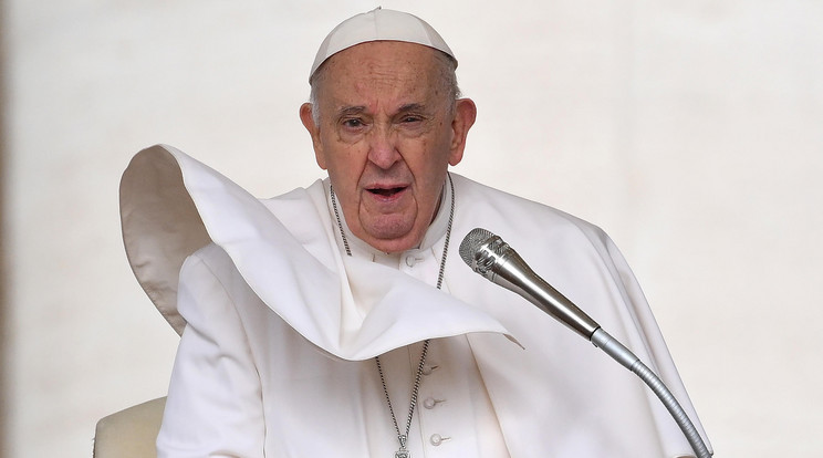 Ferenc pápa magyarul köszöntötte a zarándokokat csütörtökön / Fotó: MTI/EPA-ANSA/Ettore Ferrari