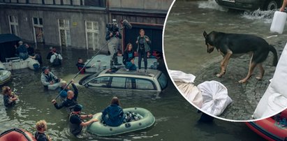 Podbiega i pije wodę z kałuży, ale odskakuje na widok biegnącego tłumu. Za tą sceną kryje się smutna, choć niesamowita historia